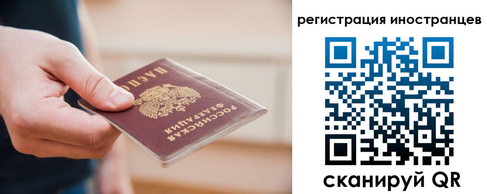 прописка гарантия в Лесозаводске